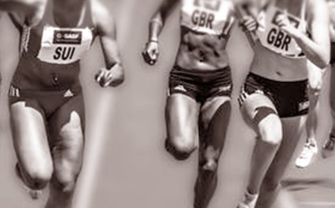 �������˻�ۺ�о�ѡ15ƪ