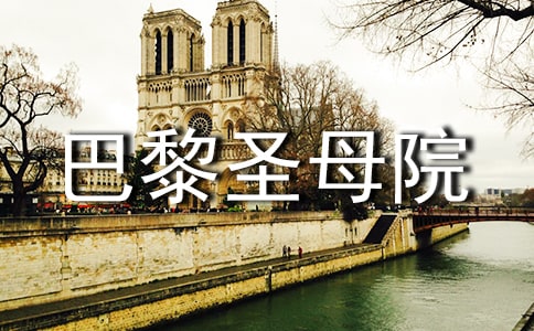 (优选)巴黎圣母院读后感15篇