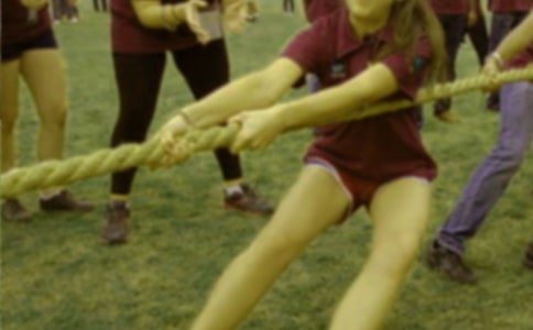 ��ѡ�κ�Сѧ���Ļ��10ƪ