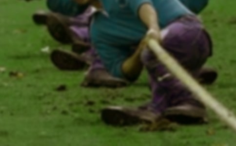 ���������κ�Сѧ���Ľ���5ƪ