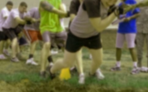 �κ�Сѧ����300��ʮƪ