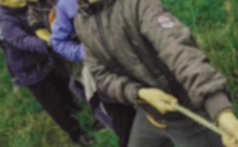 ����Ʒ���κ�Сѧ���Ľ���9ƪ