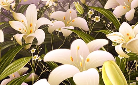 �������ϵİٺϻ����������