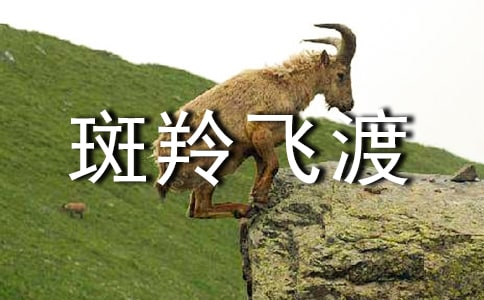 【优】斑羚飞渡读后感15篇