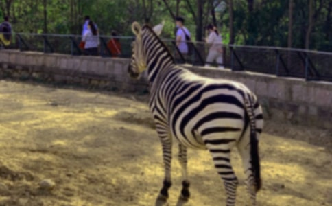 �������ð����߳�����