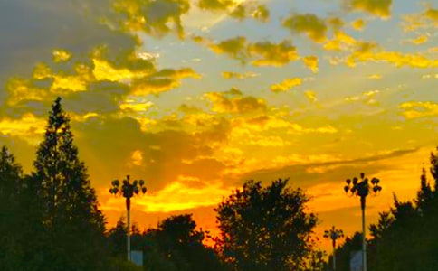 ��д������Ψ������