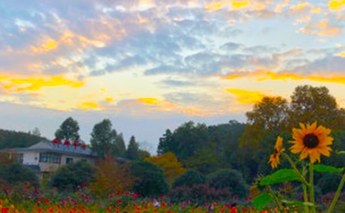 ���ݰ����ľ���26��