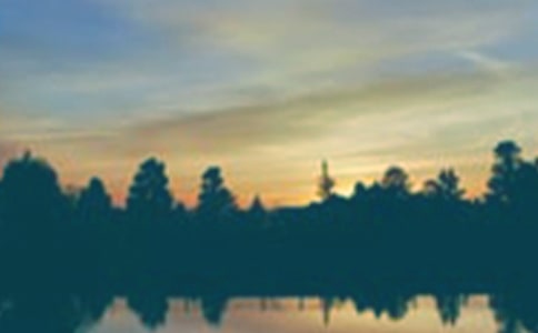 2023�����ݰ����ľ��Ӽ���34��