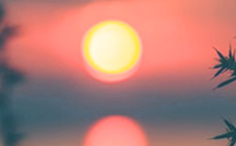 描写下过雨傍晚的句子