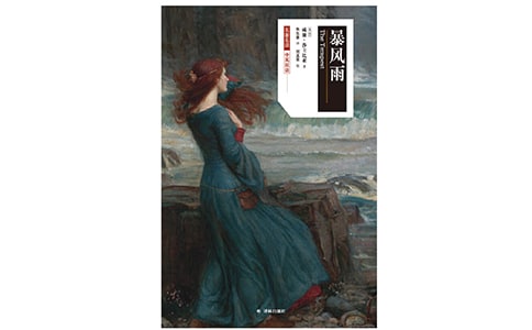 西师大版六年级下册《暴风雨的启示》语文教案