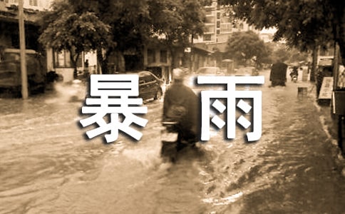 暴雨筛读后感13篇