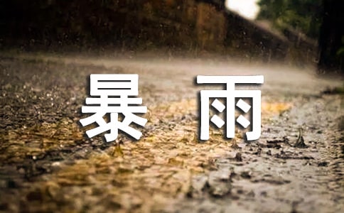 二年级暴雨作文