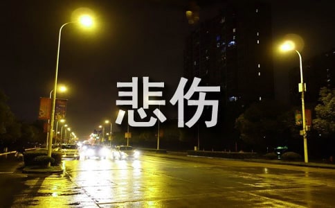 ���䱯��������¼