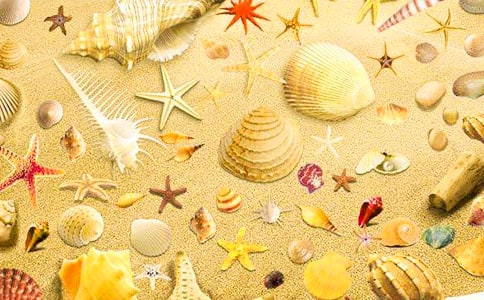 �������뱴�ǡ��и�