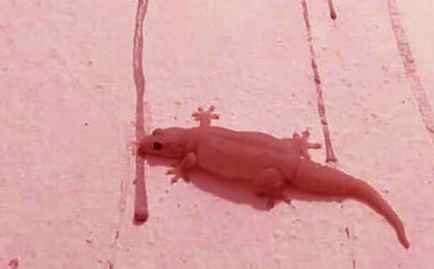 ��С�ڻ���β�͡���ѧ��˼(��ѡ15ƪ)