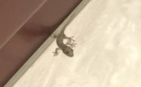 ��С�ڻ���β�͡���ѧ��˼(���15ƪ)