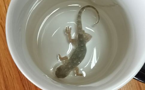 ��С�ڻ���β�͡���ѧ��˼(15ƪ)