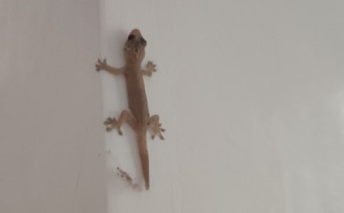 ��С�ڻ���β�͡�˵�θ�