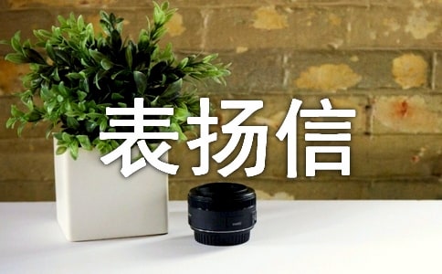 工程建设表扬信