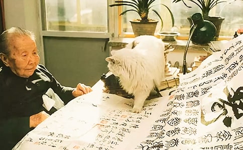 冰心读后感【共14篇】