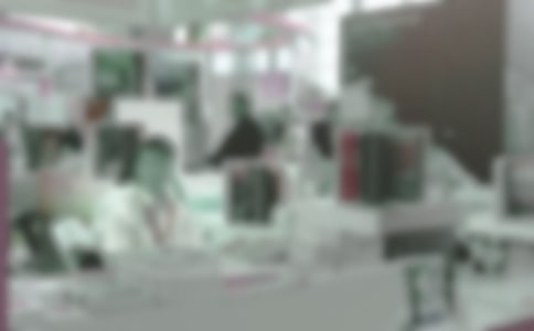 博览会工作总结