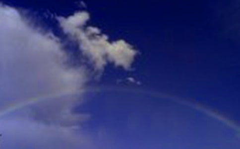 �������Ĳʺ硷˵�θ�