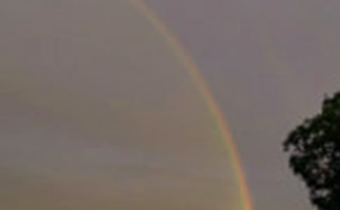 �����ʺ�롷�и�