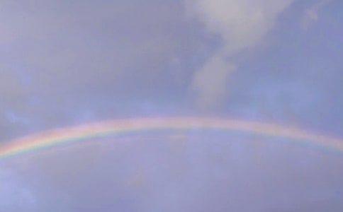 风雨过后是彩虹——《回弹力》读后感