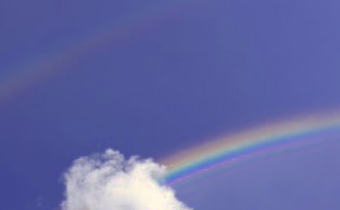 彩虹鸽读后感15篇