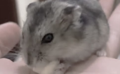 ������ռ�