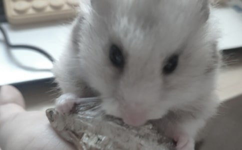 �ҵĲ������������