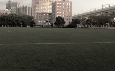 语文《操场上》教案