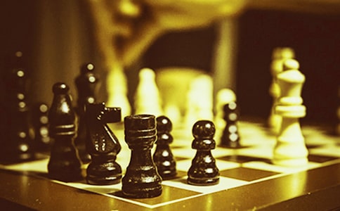 ����ѡ�������߻����Ļ��ʮƪ