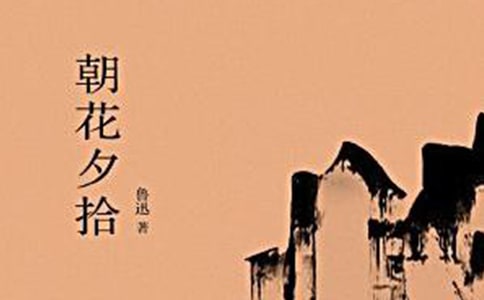 朝花夕拾读后感15篇(精华)
