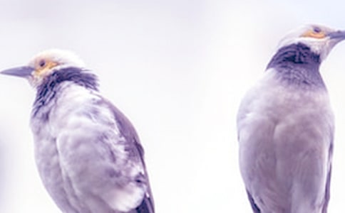 �����ѳ��ܵ��ռ�