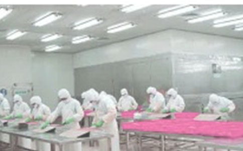 车间员工转正的申请书范文