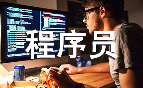 程序员转正申请书范文