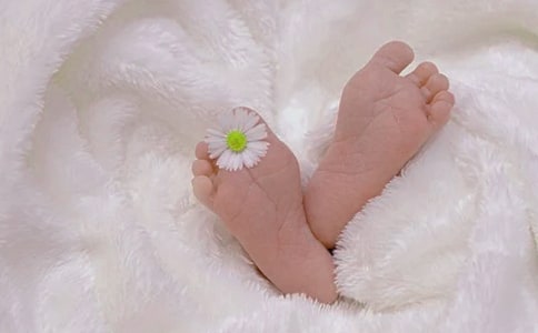 ��������������塷�����(15ƪ)