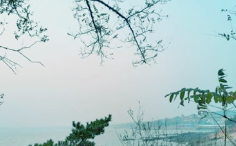 春风行动活动工作总结