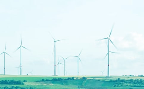 ӭ�Ӵ���ľ���