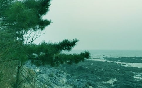 春风小学三年级作文