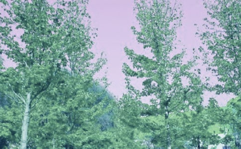 ����������һ�ƴ�������