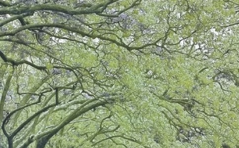 ��д����ľ���