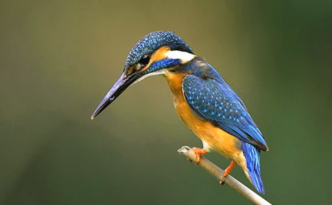 ���꼶���ġ����񡷽̰�3ƪ