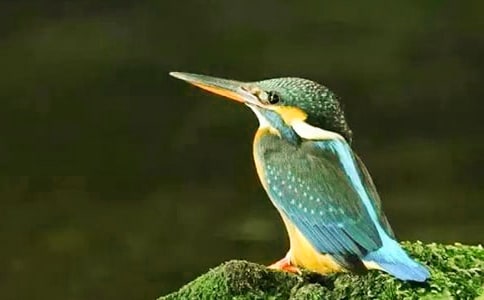 �����ѧ��˼(ͨ��15ƪ)