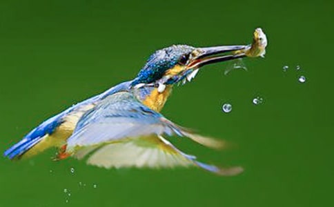 ���꼶���Ĵ���̰�