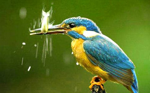 �����ѧ��˼(����15ƪ)