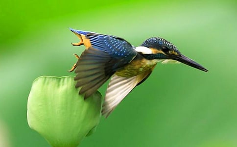 �����񡷽�ѧ��˼����15ƪ