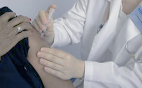 ����Сѧ���ģ�ͨ��22ƪ��