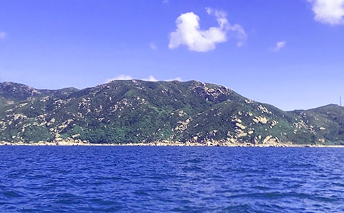 ��Сѧ����